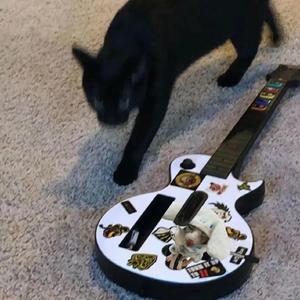 徐佳丽久草欧美视频在线观看
