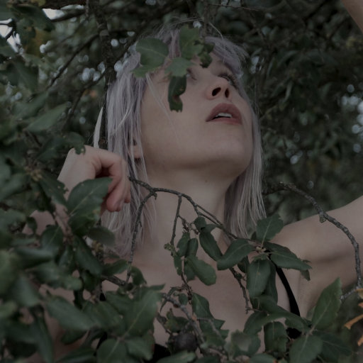 徐佳丽久草欧美视频在线观看
